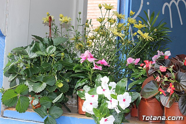 Totana conmemora el Da Internacional de la Fibromialgia y la Fatiga Crnica 2017 - 4