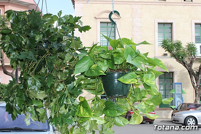Totana conmemora el Da Internacional de la Fibromialgia y la Fatiga Crnica 2017 - 6