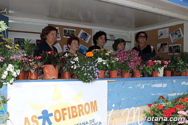 Totana conmemora el Da Internacional de la Fibromialgia y la Fatiga Crnica 2017 - 13