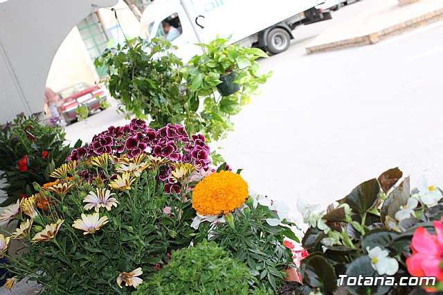 Totana conmemora el Da Internacional de la Fibromialgia y la Fatiga Crnica 2017 - 14