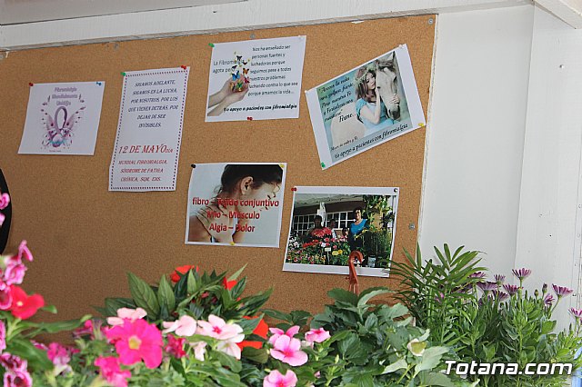 Totana conmemora el Da Internacional de la Fibromialgia y la Fatiga Crnica 2017 - 22