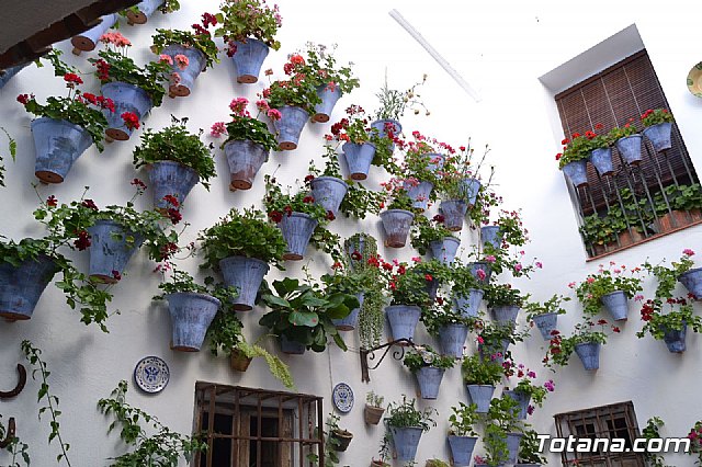 La Hermandad de Santa Mara Cleof realiz un viaje a Crdoba - 6