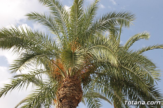 Finalizan las obras de acondicionamiento del rea de juegos infantiles del jardn del Centro Sociocultural “La Crcel” - 3