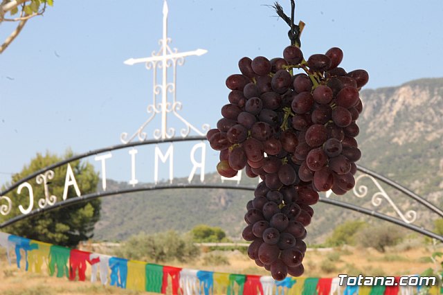El director general de Carreteras visita la RM-C8, que conecta Totana con Viñas-Carivete - 22