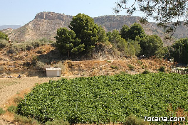 El director general de Carreteras visita la RM-C8, que conecta Totana con Viñas-Carivete - 29