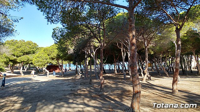 El programa de viajes “¡Vente a la playa!” se desarrolla un año ms durante los meses de verano en la Cala del Pino de La Manga del Mar Menor - 1