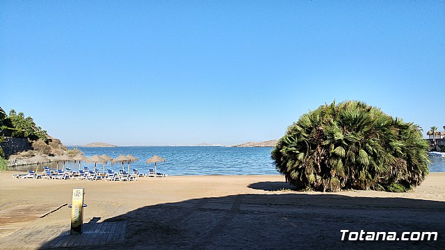 El programa de viajes “¡Vente a la playa!” se desarrolla un año ms durante los meses de verano en la Cala del Pino de La Manga del Mar Menor - 11