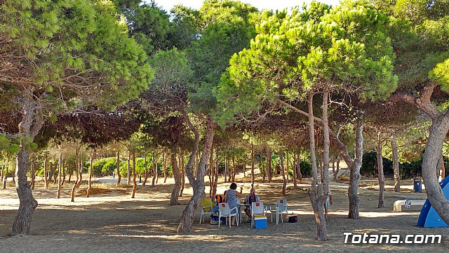 El programa de viajes “¡Vente a la playa!” se desarrolla un año ms durante los meses de verano en la Cala del Pino de La Manga del Mar Menor - 12