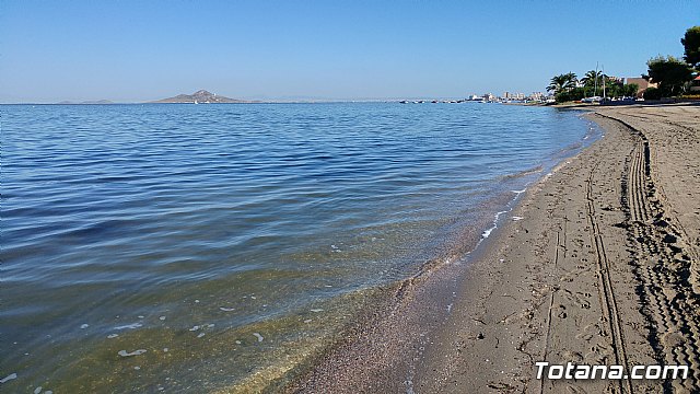 El programa de viajes “¡Vente a la playa!” se desarrolla un año ms durante los meses de verano en la Cala del Pino de La Manga del Mar Menor - 15