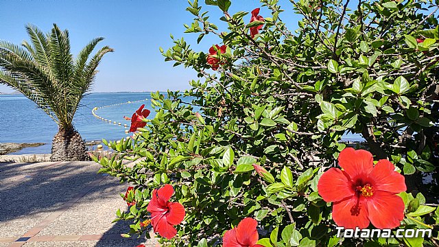 El programa de viajes “¡Vente a la playa!” se desarrolla un año ms durante los meses de verano en la Cala del Pino de La Manga del Mar Menor - 16