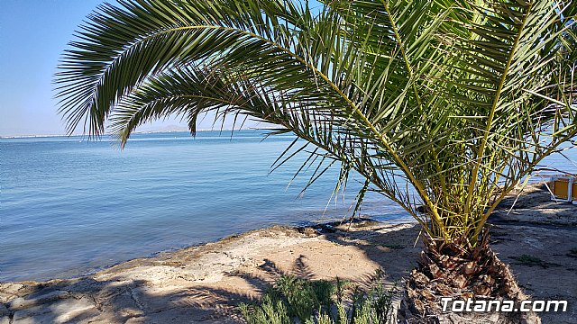El programa de viajes “¡Vente a la playa!” se desarrolla un año ms durante los meses de verano en la Cala del Pino de La Manga del Mar Menor - 17