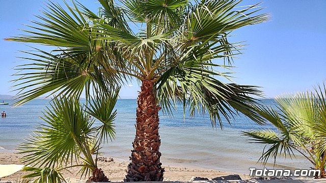 El programa de viajes “¡Vente a la playa!” se desarrolla un año ms durante los meses de verano en la Cala del Pino de La Manga del Mar Menor - 18