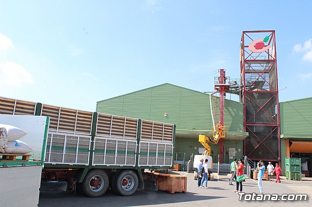 El alcalde de Totana se ofrece a mediar en el conflicto entre los socios cooperativistas productores de almendra y COATO - 10