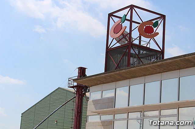 El alcalde de Totana se ofrece a mediar en el conflicto entre los socios cooperativistas productores de almendra y COATO - 9