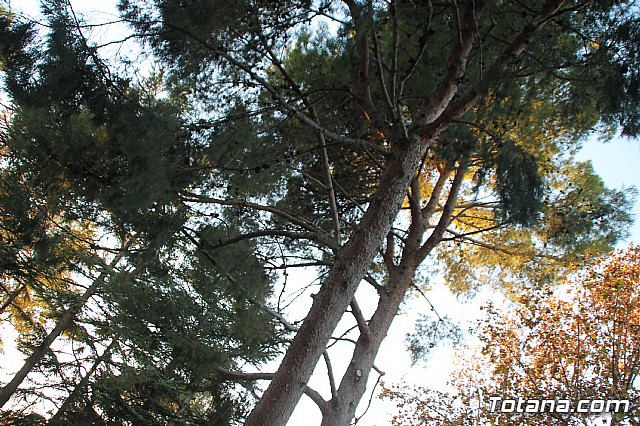 Abierta al pblico la nueva rea de juegos infantiles del parque municipal 