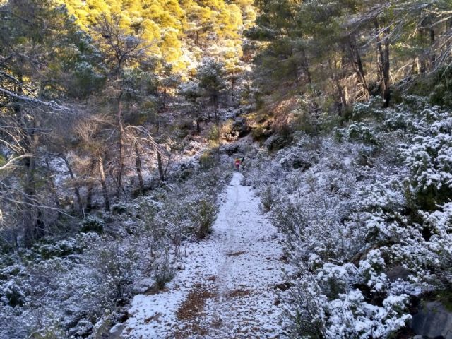 Caen las primeras nieves de este año en Sierra Espuña - 19