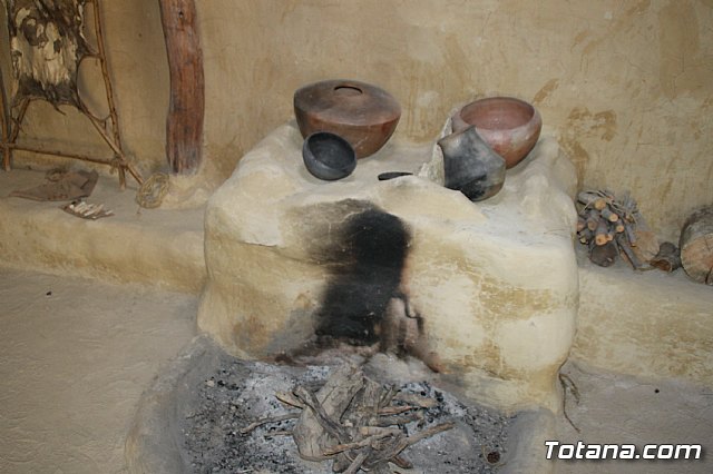 El PSOE exige al Gobierno regional que destine fondos de la partida para patrimonio arqueolgico de los presupuestos 2018 para avanzar con los trabajos de La Bastida - 11