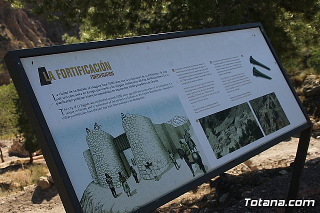 El PSOE exige al Gobierno regional que destine fondos de la partida para patrimonio arqueolgico de los presupuestos 2018 para avanzar con los trabajos de La Bastida - 21