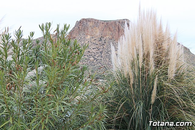 Los diputados del grupo parlamentario Popular, encabezados por su portavoz Vctor Manuel Martnez, visitaron el yacimiento arqueolgico La Bastida, en Totana - 4