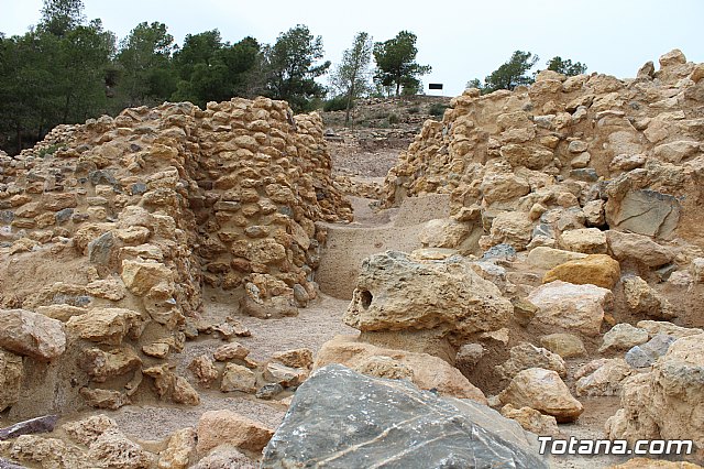 Los diputados del grupo parlamentario Popular, encabezados por su portavoz Vctor Manuel Martnez, visitaron el yacimiento arqueolgico La Bastida, en Totana - 30