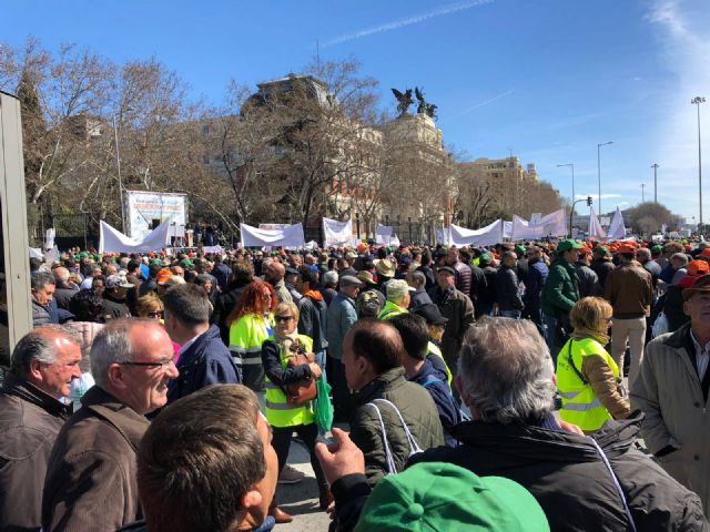 Autoridades municipales participaron hoy en la manifestacin celebrada en Madrid para reivindicar agua para el Levante español - 3