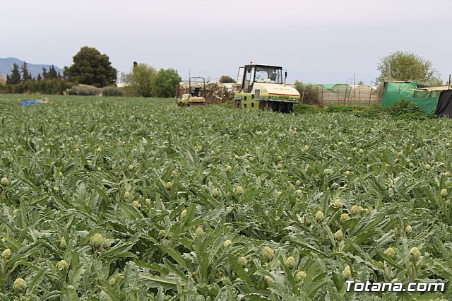 La Concejala de Caminos pavimenta, con recursos propios, los caminos de COATO y Ezequiel, junto a la Ciudad Deportiva - 2