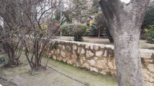 El PSOE pide en la Asamblea Regional una solución mejor que la rotación para sustituir al otorrino y exige mejoras en la planificación de la sanidad - 2, Foto 2