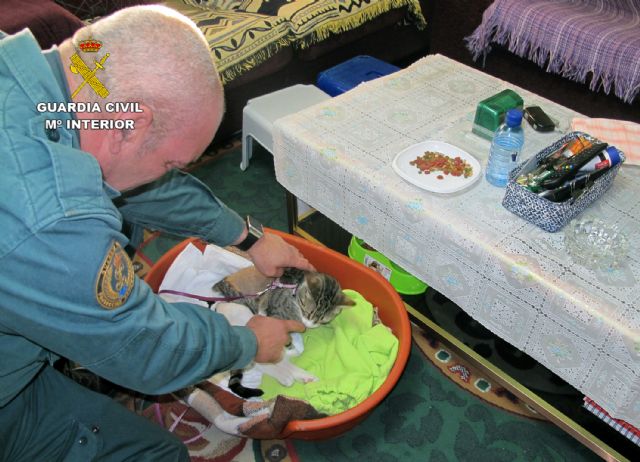 La Guardia Civil investiga a dos vecinos de Águilas por disparar contra un gato doméstico - 2, Foto 2