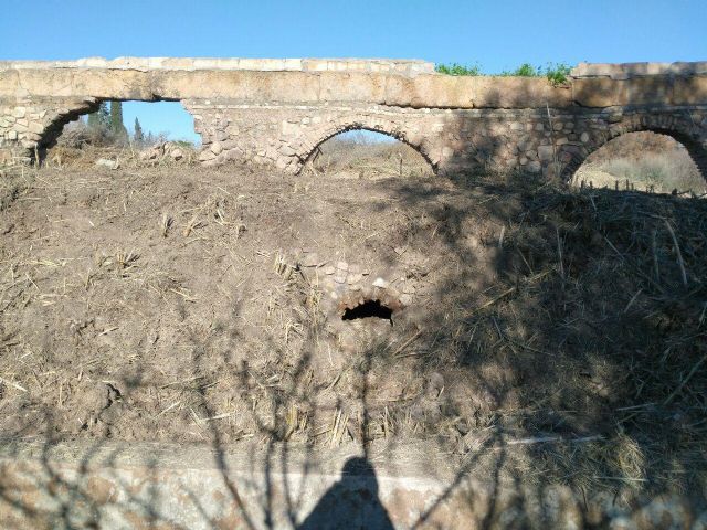 HUERMUR exige la paralización de la limpieza salvaje del carril de la Aljufía - 2, Foto 2