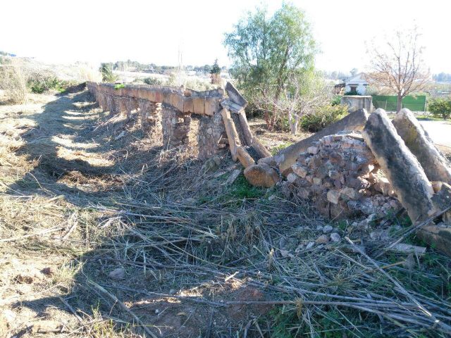 HUERMUR exige la paralización de la limpieza salvaje del carril de la Aljufía - 3, Foto 3