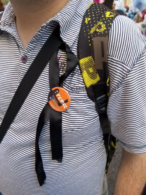 FEMAE condena el suicidio de Lucía, víctima de acoso escolar, y señala a la Consejería por su indiferencia - 1, Foto 1