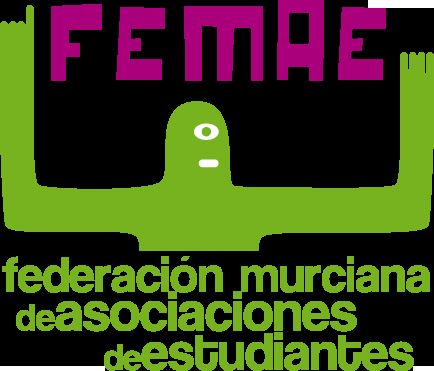 FEMAE condena el suicidio de Lucía, víctima de acoso escolar, y señala a la Consejería por su indiferencia - 2, Foto 2