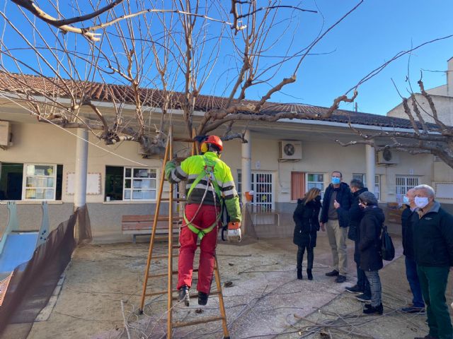 El Ayuntamiento pone a punto el arbolado de las escuelas infantiles del municipio apostando por los entornos naturales para los más pequeños - 2, Foto 2