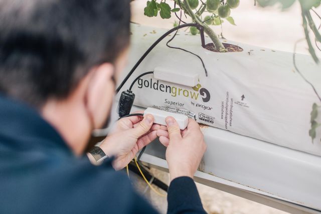 En invierno el riego en hidroponía debe ajustarse para evitar problemas causados por exceso de agua - 1, Foto 1