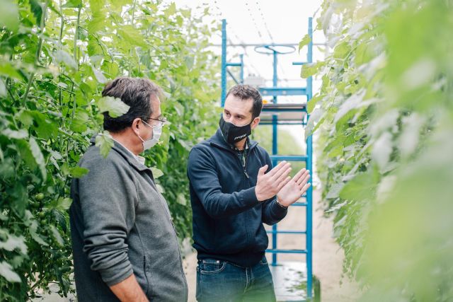 En invierno el riego en hidroponía debe ajustarse para evitar problemas causados por exceso de agua - 2, Foto 2