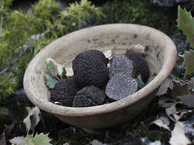 Escapada con sabor a trufa - 1, Foto 1