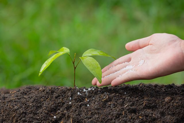 Cetenma impulsa la recuperación y reutilización del fósforo en la agricultura sostenible con el proyecto europeo endorse - 2, Foto 2