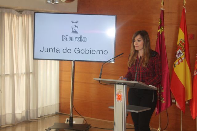 El Ayuntamiento de Murcia incrementa los recursos para combatir el mosquito tigre - 1, Foto 1