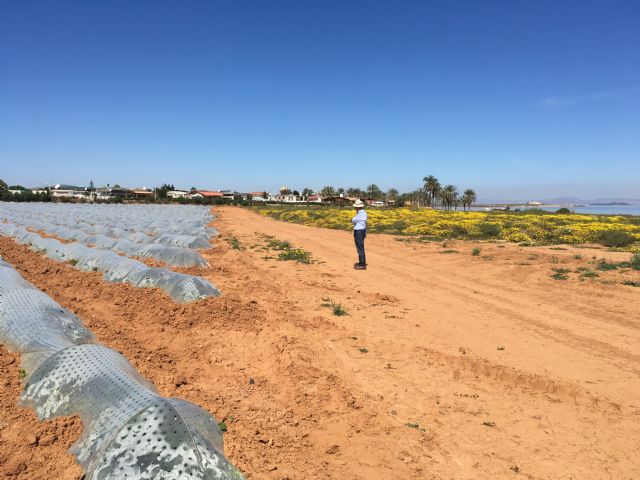 El Grupo de coordinación Pacto por Mar Menor denuncia la ausencia o falta de aplicación de legislación en el Mar Menor - 1, Foto 1