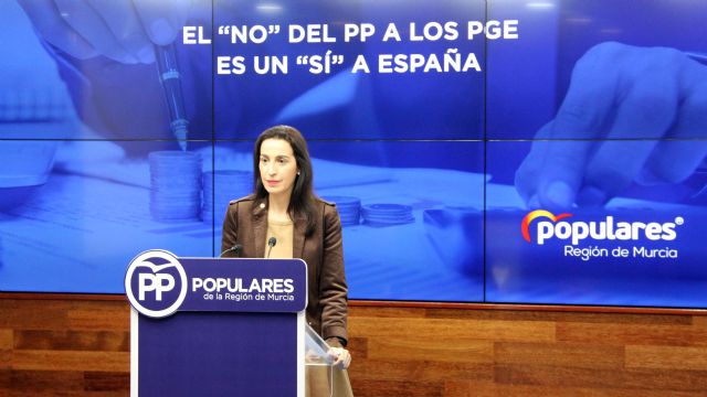 Nuria Fuentes: El ´no´ del Partido Popular a los PGE es un ´si´ a la unidad de España, a la democracia y a la Constitución - 1, Foto 1