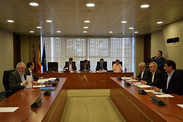 La Asamblea Regional aprueba la iniciativa de Ciudadanos para que se elabore un plan de promoción para el sector del mármol - 1, Foto 1