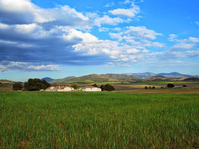 IU-Verdes Lorca pide que los beneficios de la instalación de una planta de biometano en Lorca se destinen al polígono de las Tierras Altas - 1, Foto 1