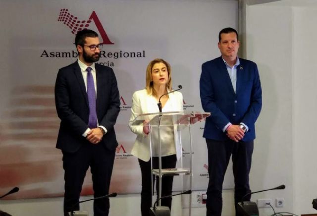 Carmina Fernández: La política del Gobierno regional es de autobombo y maquillaje, pero sin una sola solución para las familias del sector turístico - 1, Foto 1