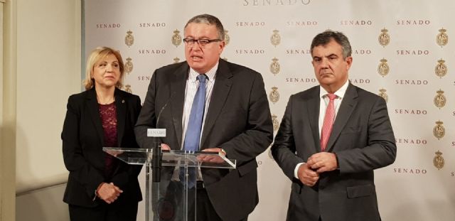 Bernabé: “Sánchez empaña la delegación del Gobierno al nombrar al frente a un imputado por dos delitos de corrupción” - 1, Foto 1