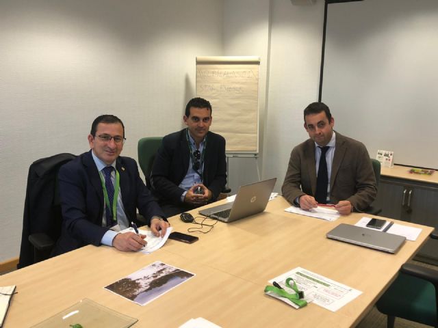 El Ayuntamiento se reúne con Iberdrola para poner una solución definitiva a los apagones que han afectado al municipio en las últimas semanas - 1, Foto 1