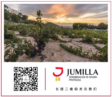 La DOP Jumilla presenta sus canales de comunicación en China - 1, Foto 1