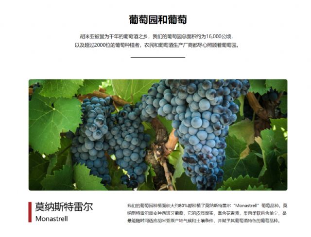 La DOP Jumilla presenta sus canales de comunicación en China - 4, Foto 4