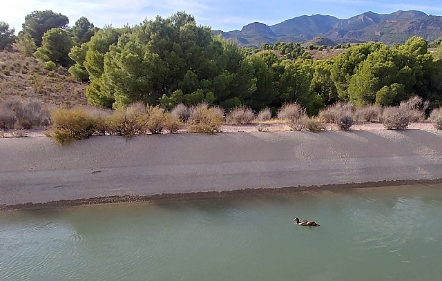 Ribereños: El Memorándum ha hecho su trabajo - 1, Foto 1
