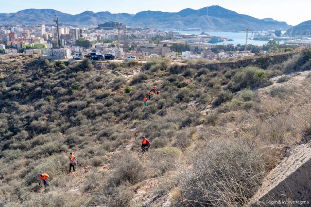 Ayuntamiento y Fundación Repsol dan a conocer el proyecto de La Atalaya a la Mesa de la Reforestación - 1, Foto 1