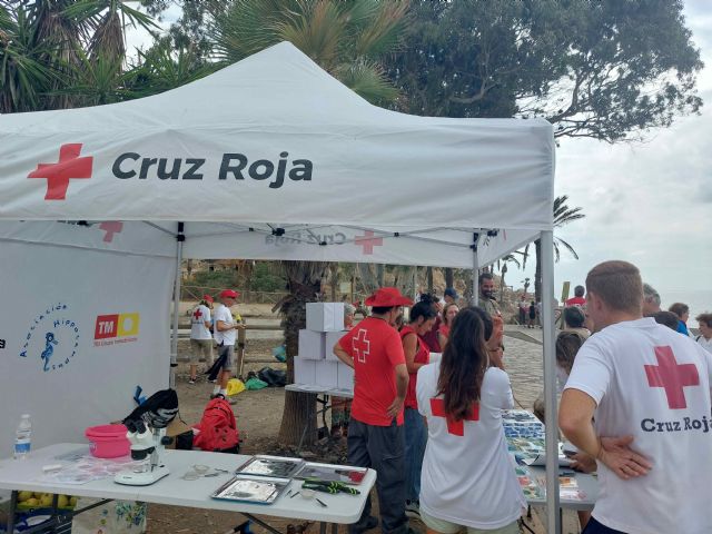 Mediterráneo Responsable, el proyecto que ha permitido retirar 5.300 kilos de residuos del mar Mediterráneo - 2, Foto 2